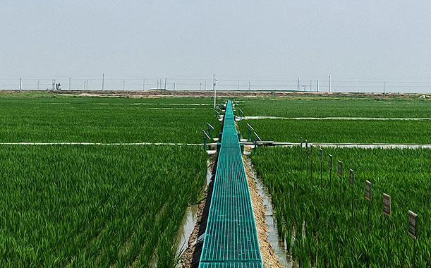 中全七礦建筑有限公司證書(shū)